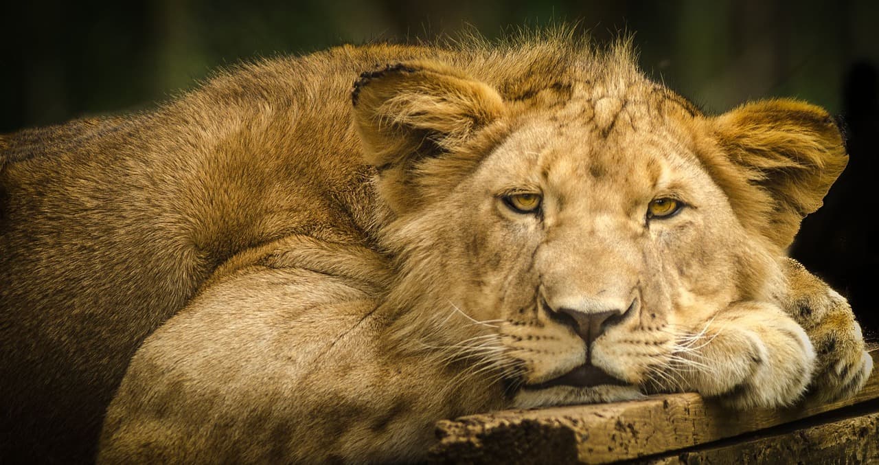 Kruger National Park