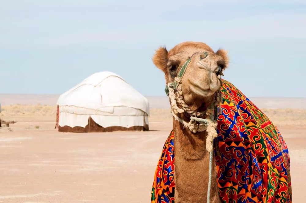 The Wonders of the Silk Road: Ouzbékistan and Kyrgyzstan